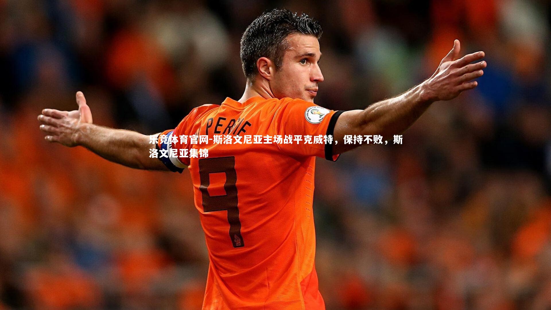 斯洛文尼亚主场战平克威特，保持不败，斯洛文尼亚集锦
